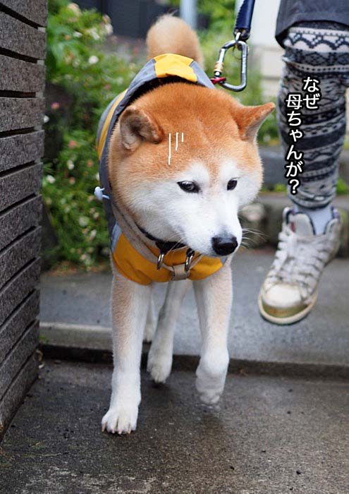 13日夜ブログ６