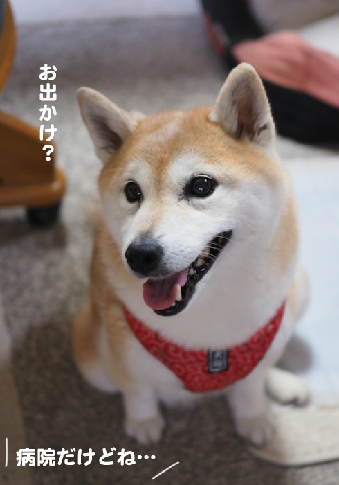 1日夜ブログ８