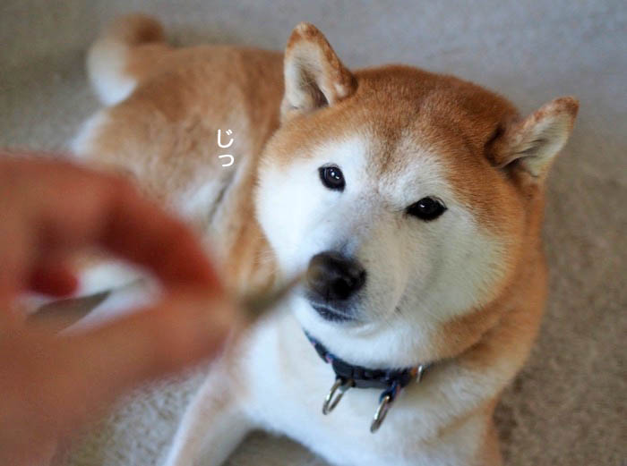 4日ブログ２