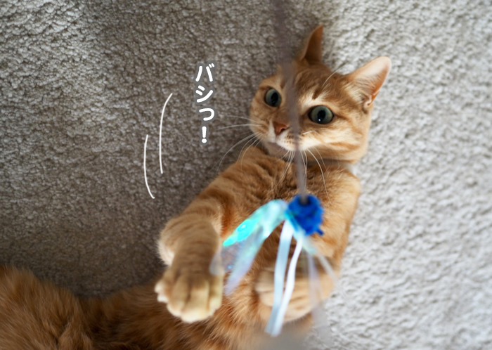 18日ブログ３