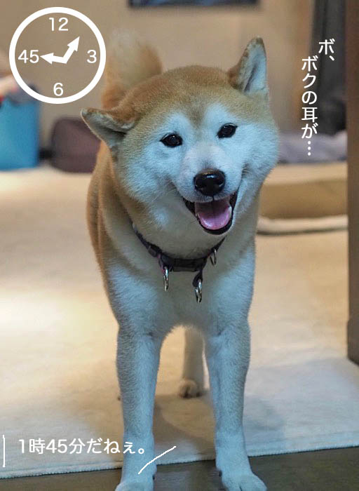 7日ブログ２
