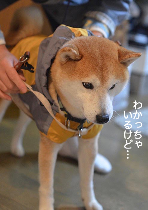 8日午前ブログ2