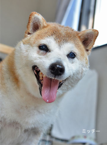 29日ブログ9.jpg
