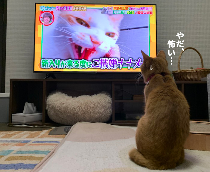 15日夕ブログ７