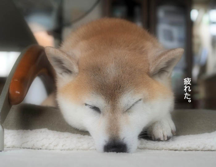 28日ブログ５