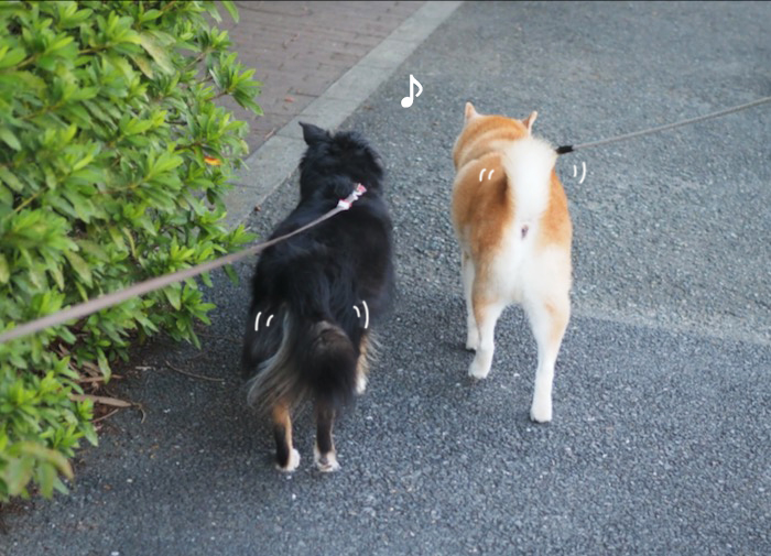 18日夕ブログ５