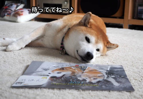24日夜ブログ５