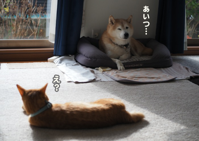 10日夕ブログ９