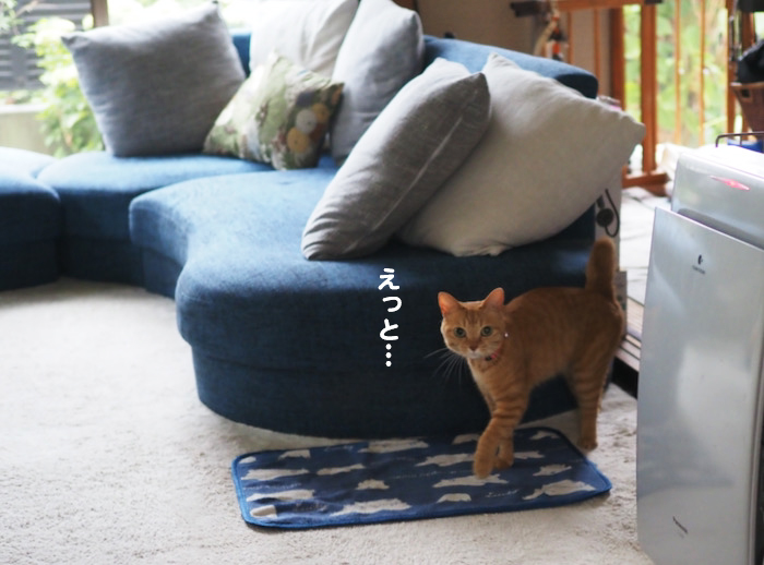 18日ブログ２