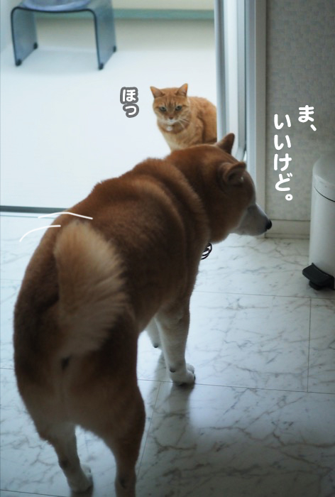 13日夕ブログ７