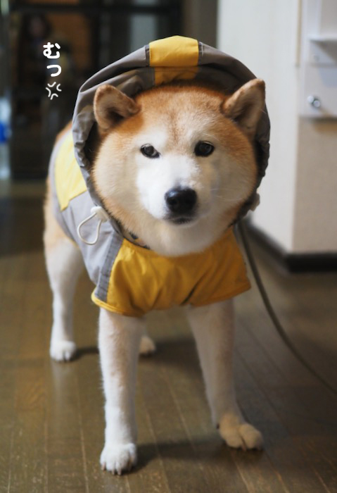 4日夜ブログ２