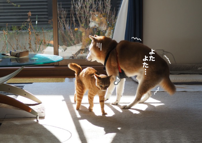 6日の夜ブログ５