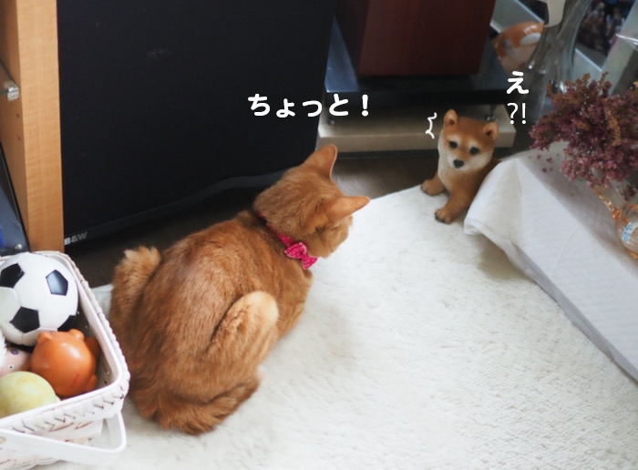 7日ブログ１