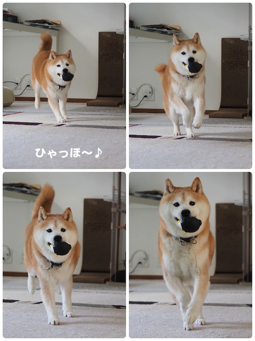 24日夕ブログ４
