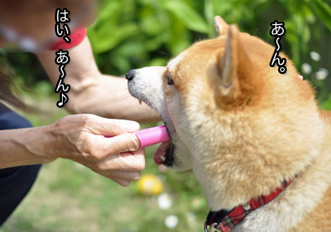 28日ブログ13.jpg