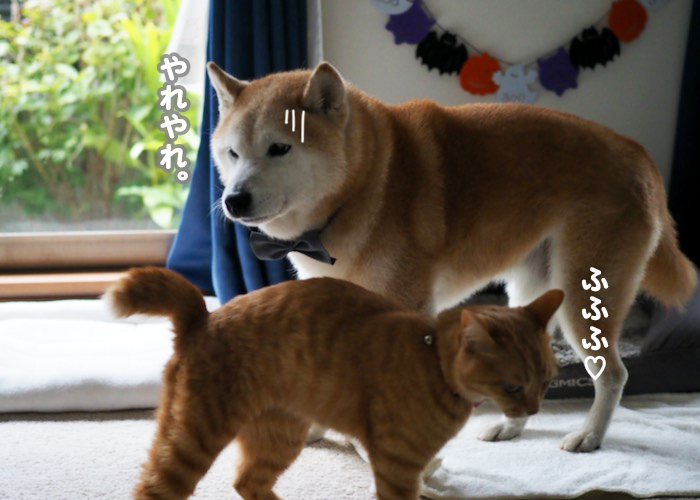 24日夕ブログ７
