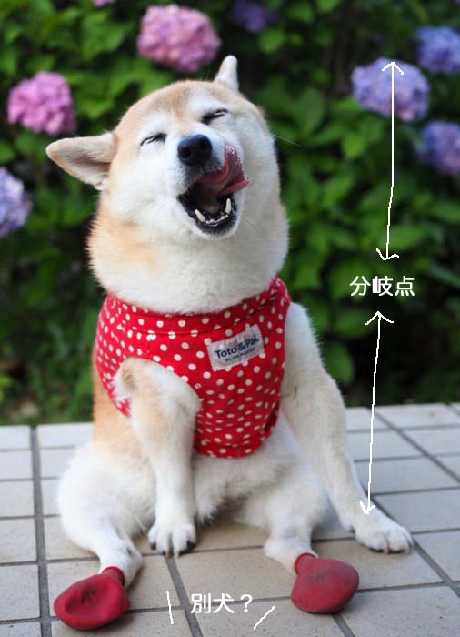17日ブログ４