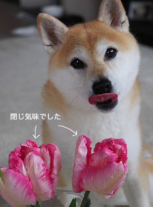 14日ブログ２