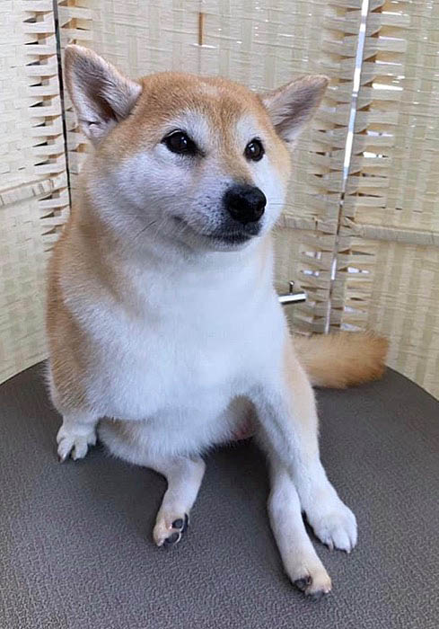 4日ブログ８