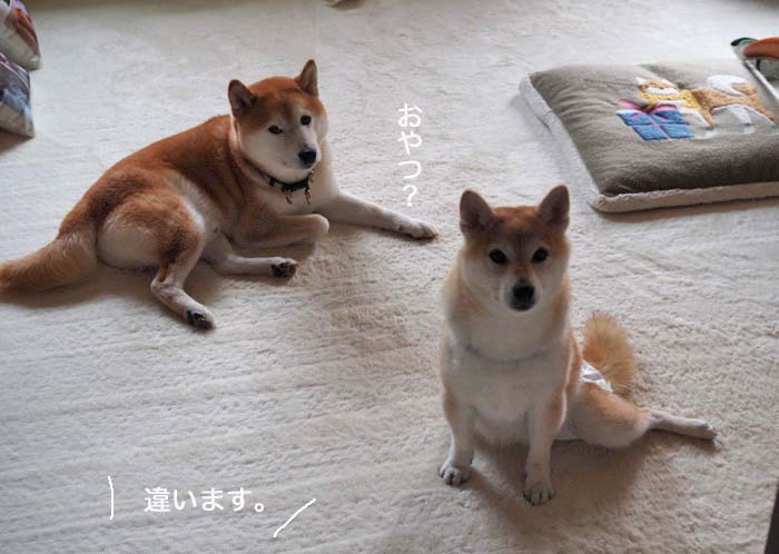 6日午後ブログ2