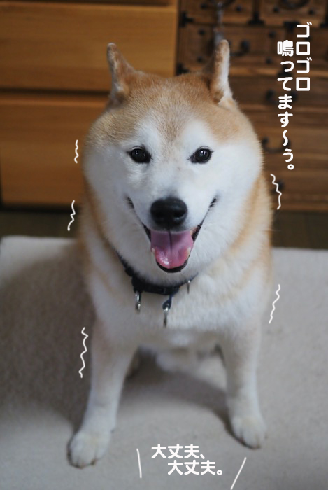 15日夕ブログ８