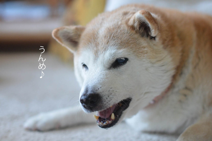 31日ブログ11