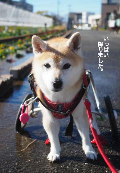 1日昼ブログ４