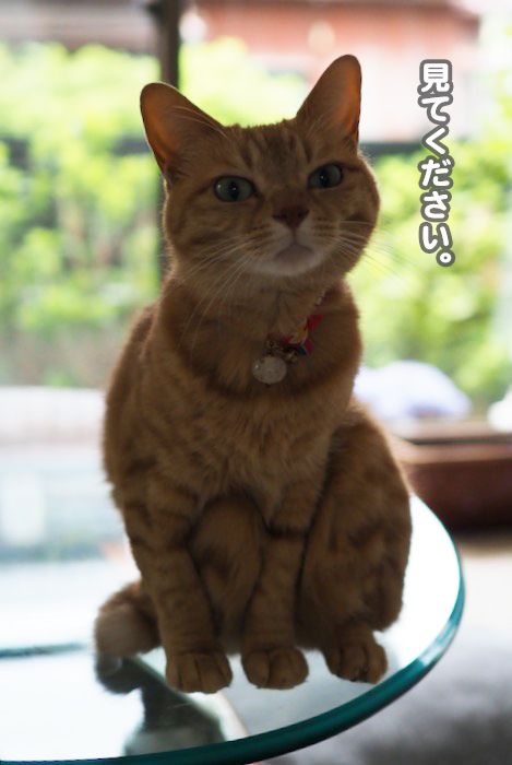 30日夕ブログ３