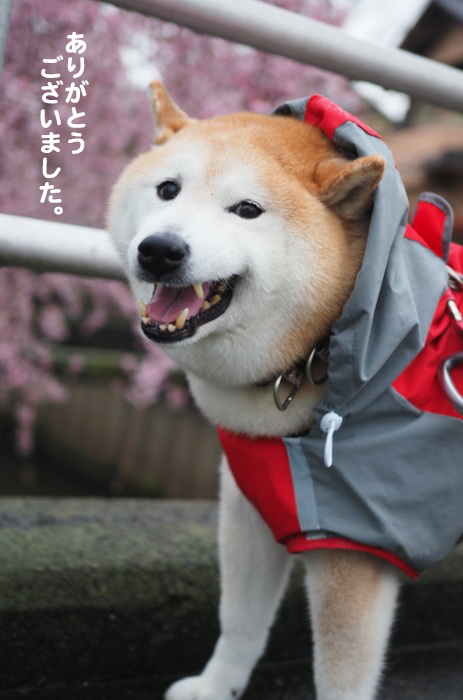 18日夕ブログ３