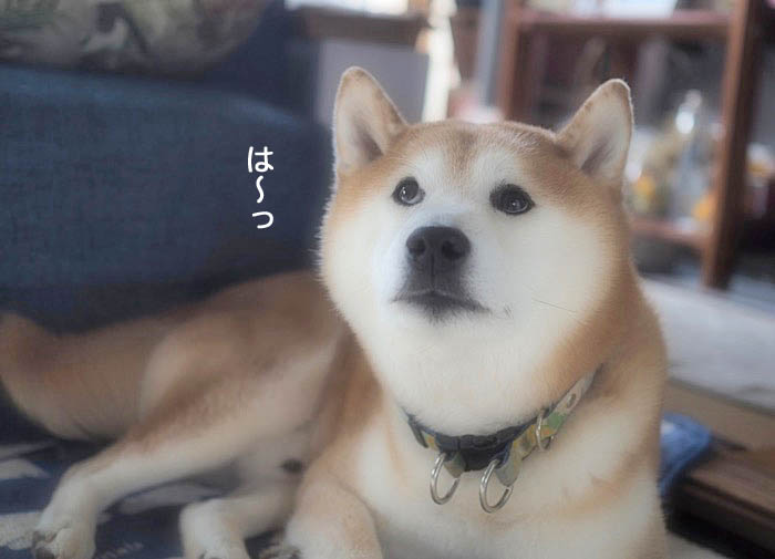 17日ブログ７