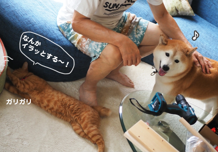 14日夜ブログ７