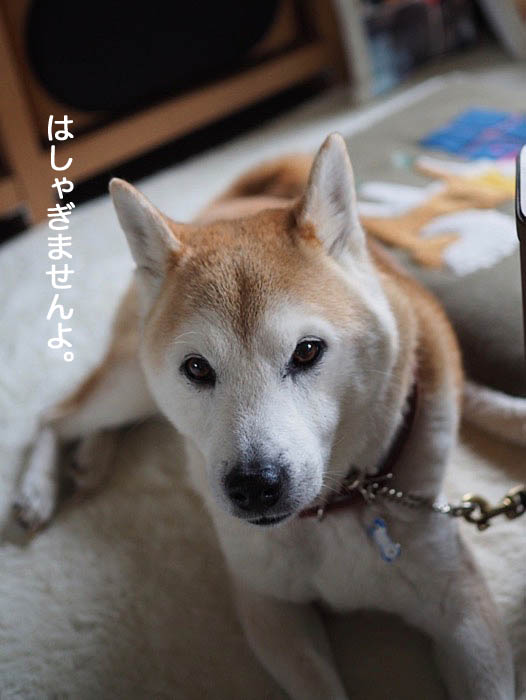 24日ブログ7
