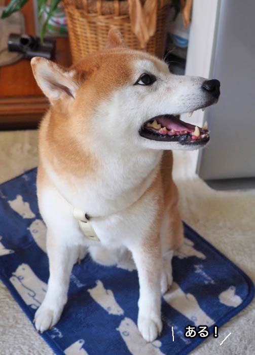 4日ブログ３