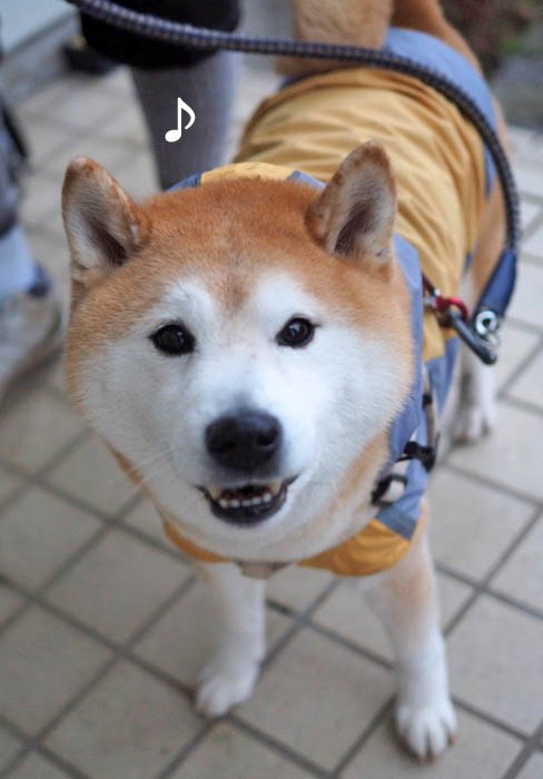 11日ブログ３