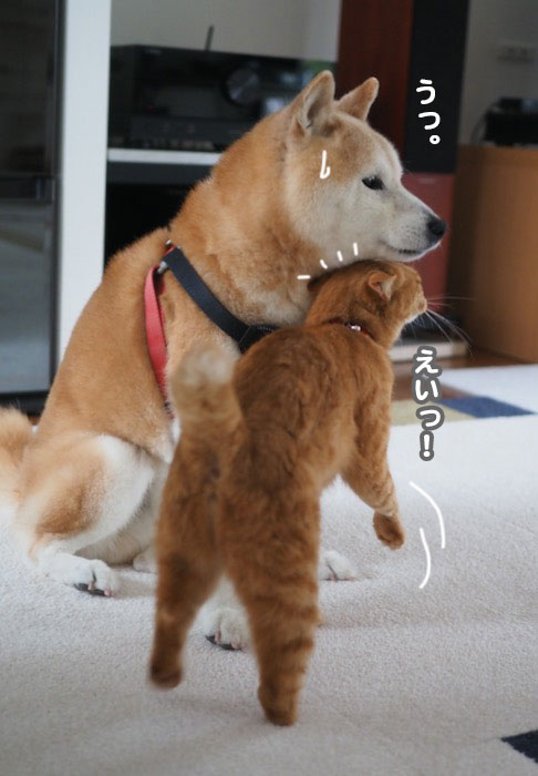 14日ブログ３