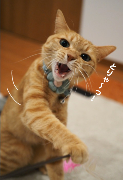 6日ブログ２