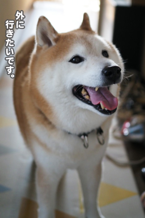 19日ブログ２