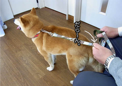 9日ブログ5.jpg