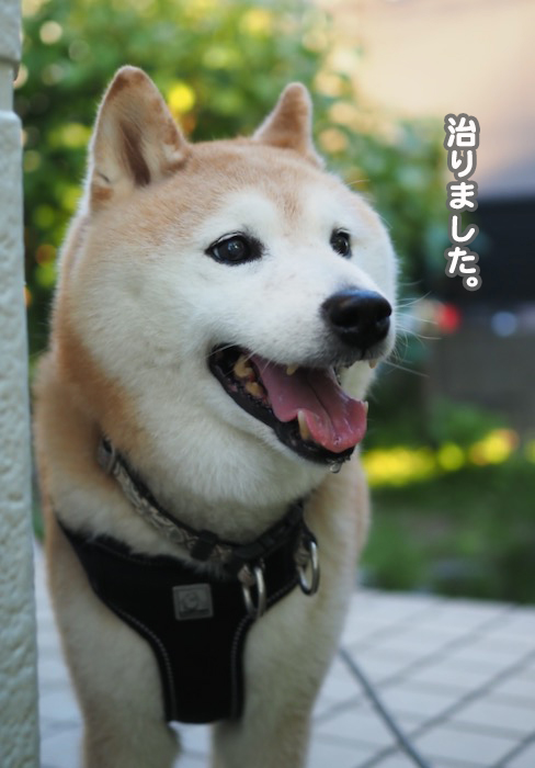 21日ブログ２