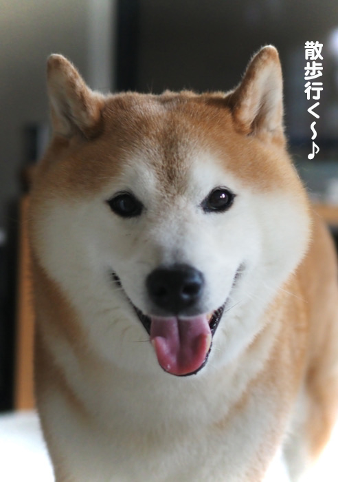 2日夕ブログ３