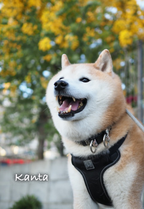 21日ブログ3