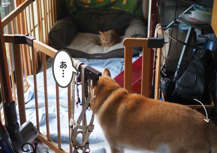 11日ブログ１