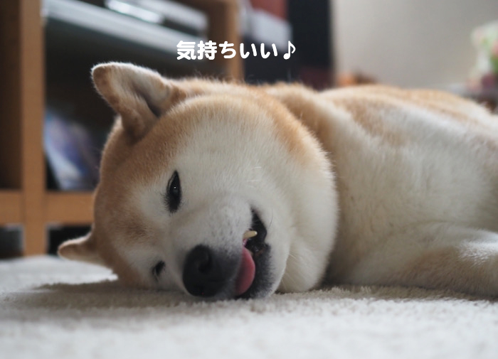 18日ブログ３