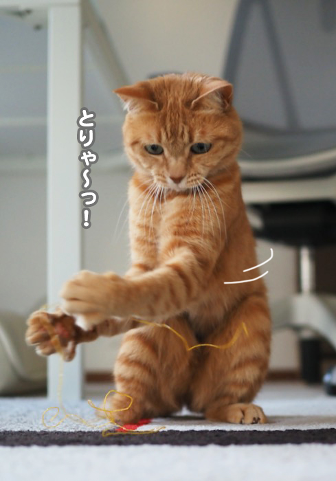 29日夕ブログ４