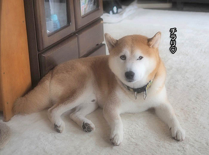 12日午後ブログ５