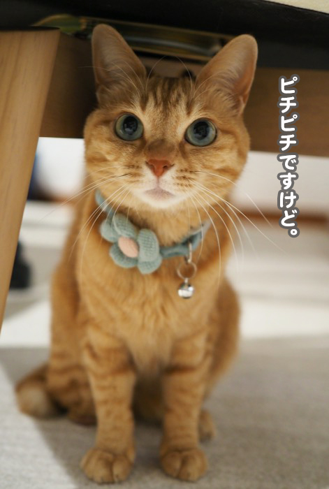 14日ブログ３
