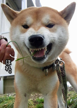 9日ブログ10.jpg