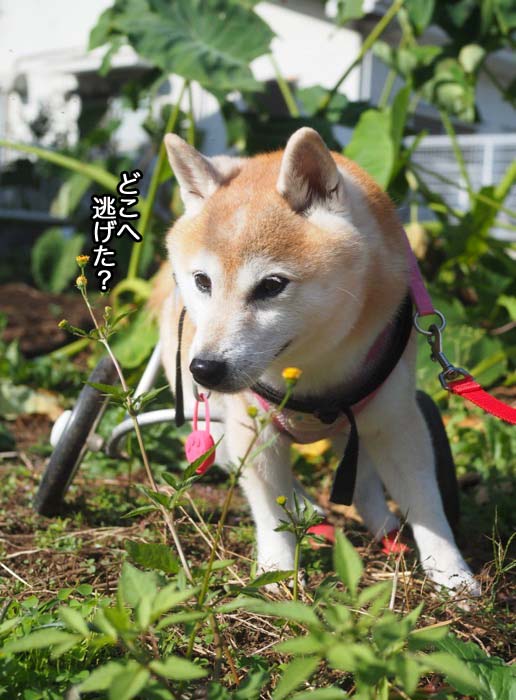 8日ブログ４