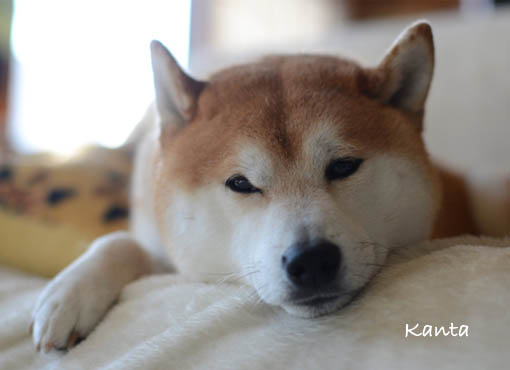 13日ブログ8.jpg