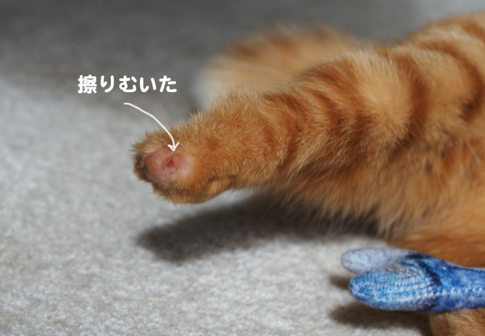 22日ブログ４